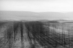 acclration-vignes_21237698926_l